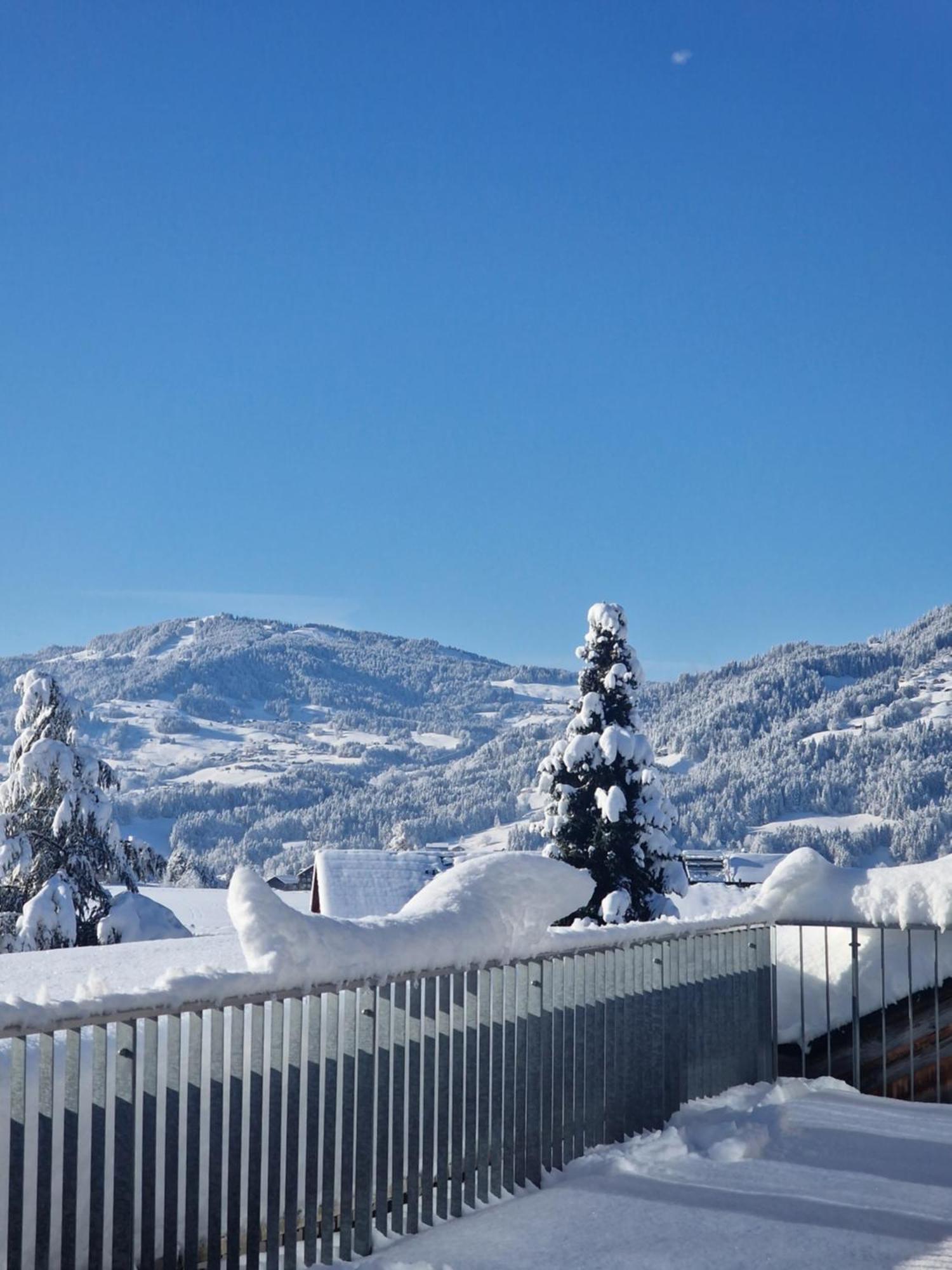 Familienhotel Adler Lingenau Bagian luar foto