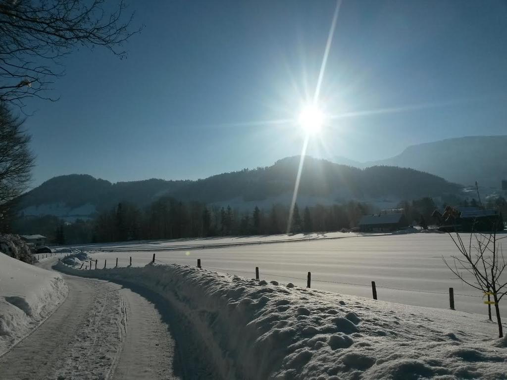Familienhotel Adler Lingenau Bagian luar foto